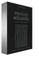 Psychoacoustics